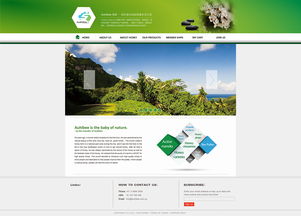 探秘网页设计之美 从企业官网到ZCOOL社区